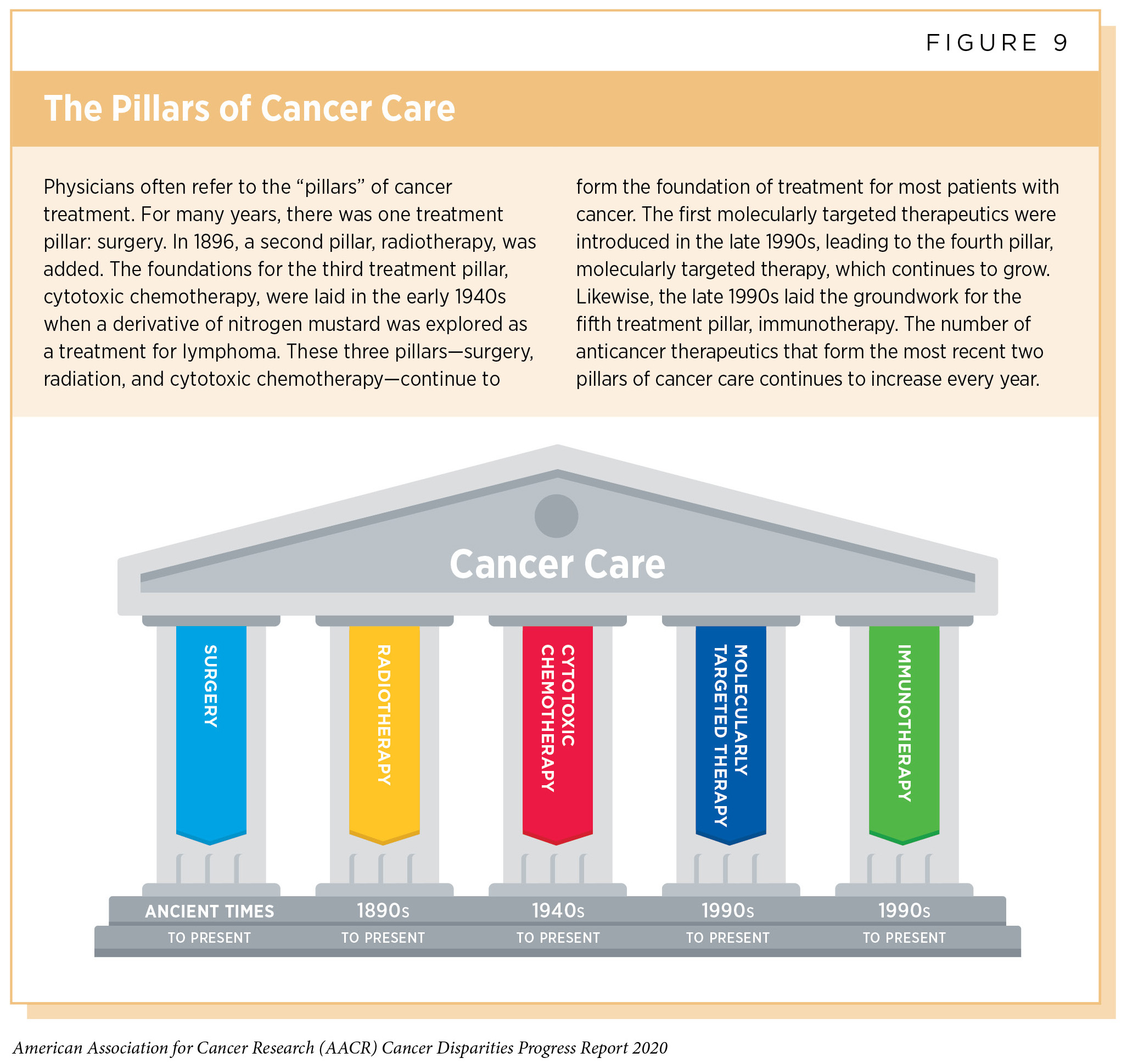 Cancer Treatment Disparities  AACR Cancer Disparities Progess