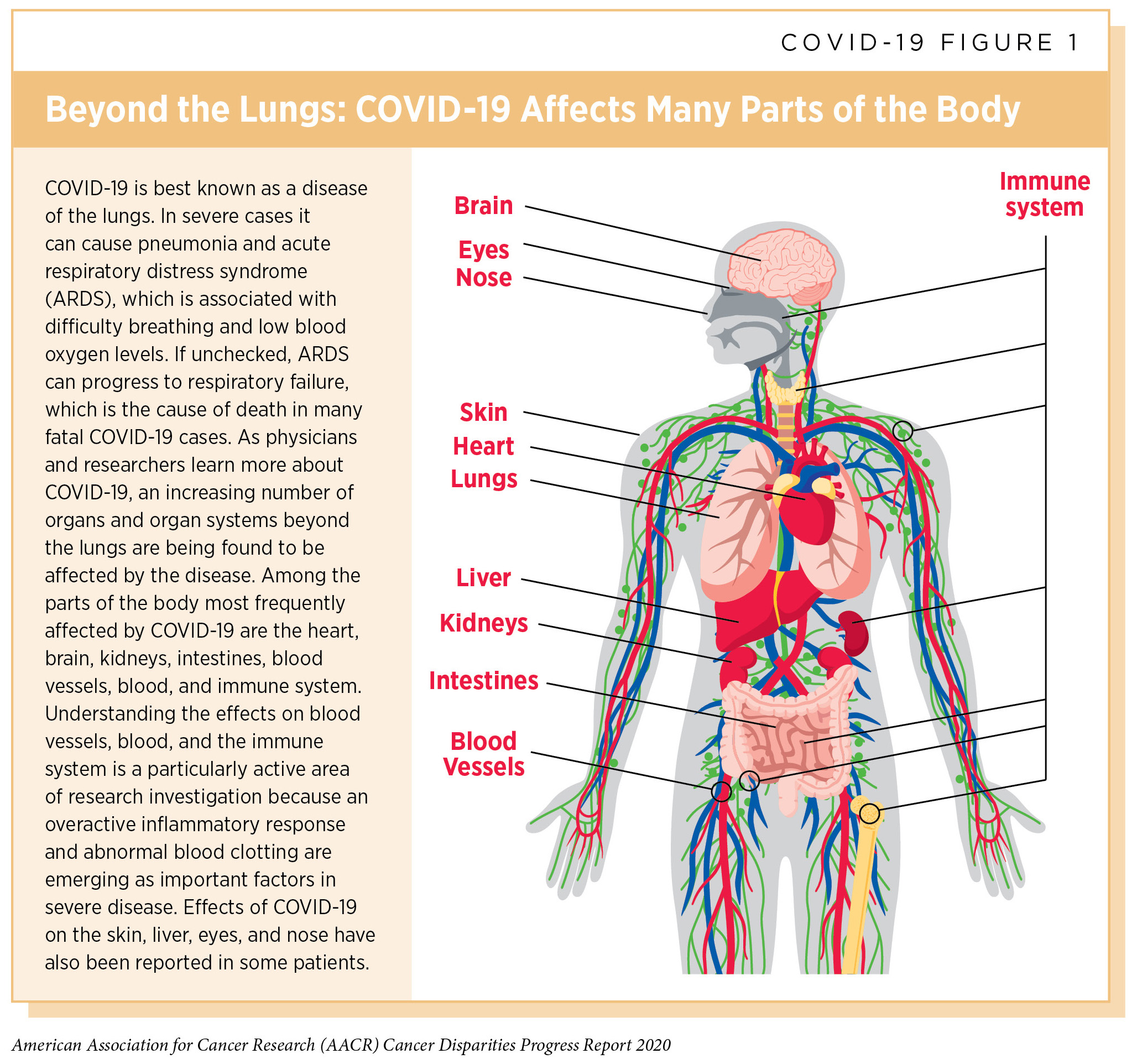 COVID-19 Data from the National Center for Health Statistics