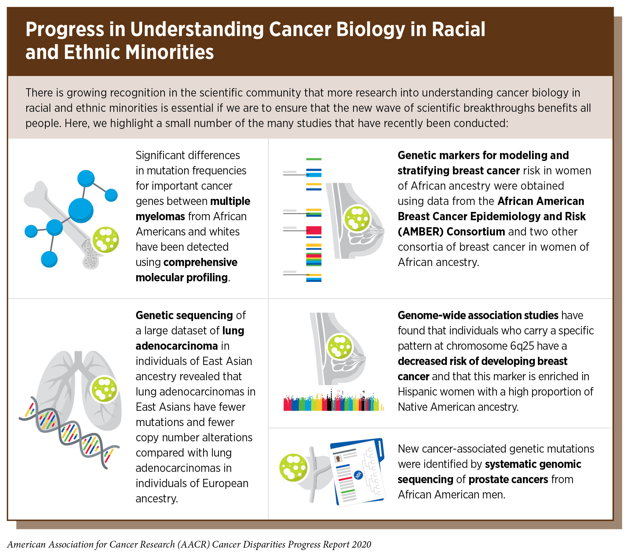 Understanding How Cancer Develops