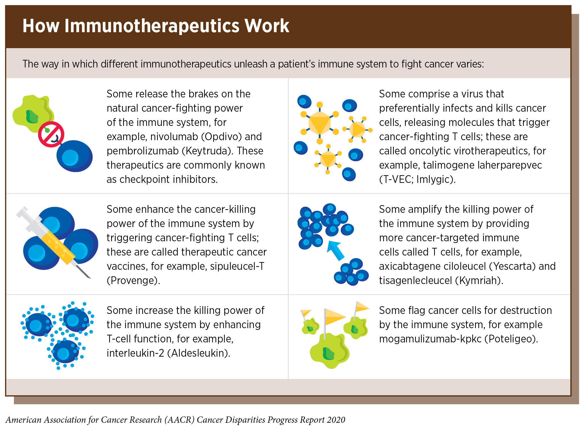 Cancer Treatment Disparities  AACR Cancer Disparities Progess