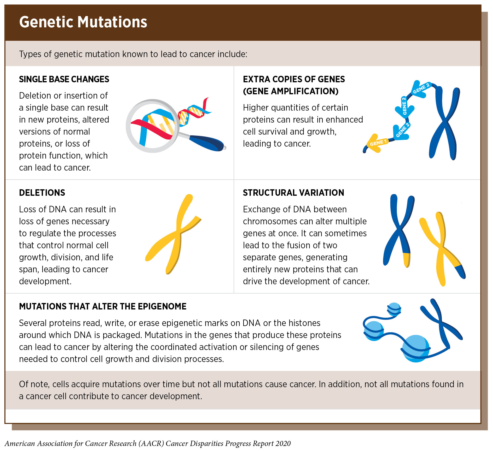 Understanding How Cancer Develops