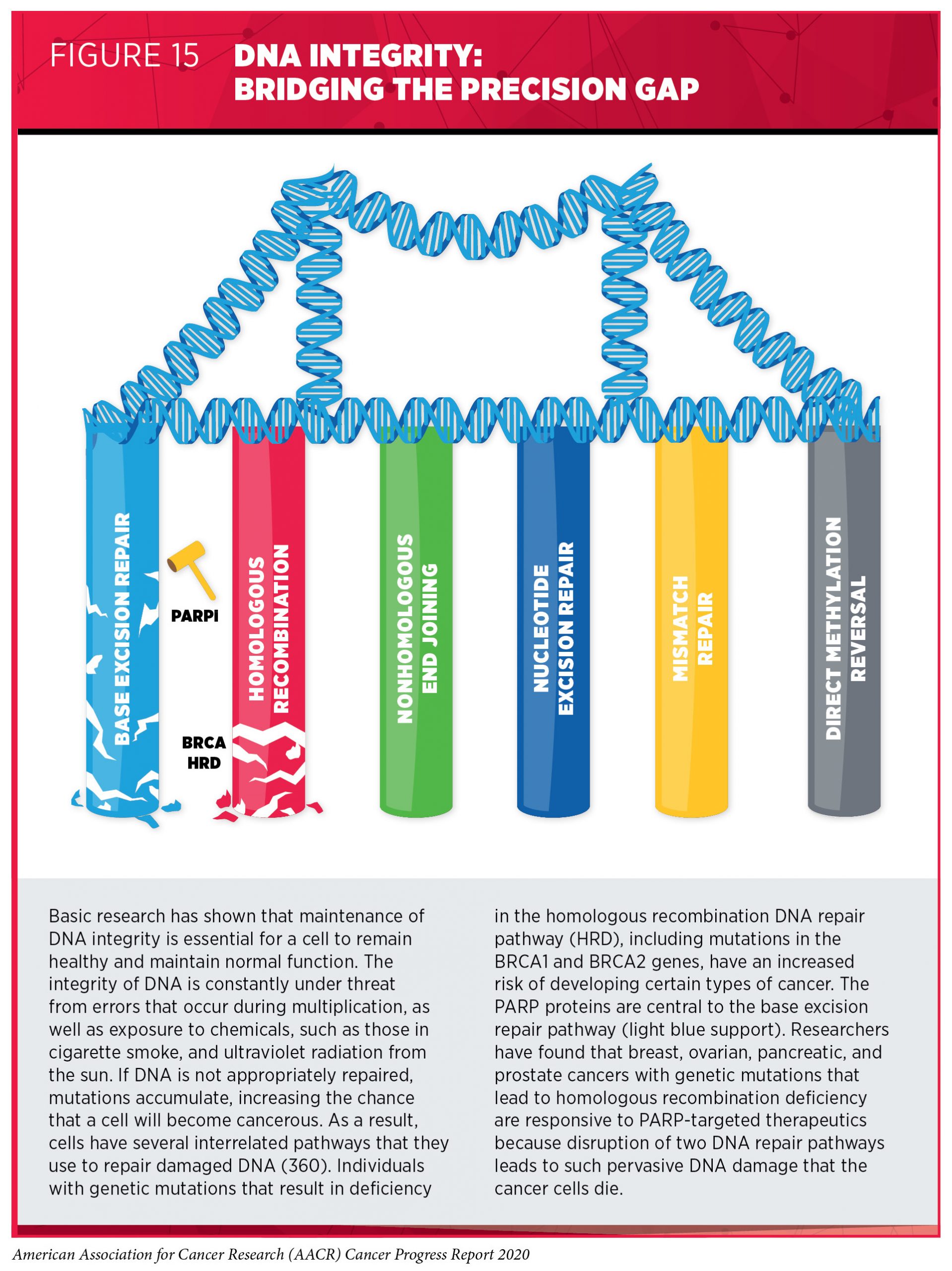 What are the Pillars of Cancer Treatment? ⋆ Vial