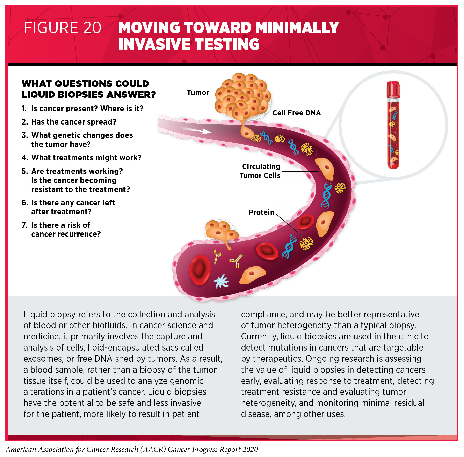 Could we soon be able to detect cancer in 10 minutes?, Cancer research