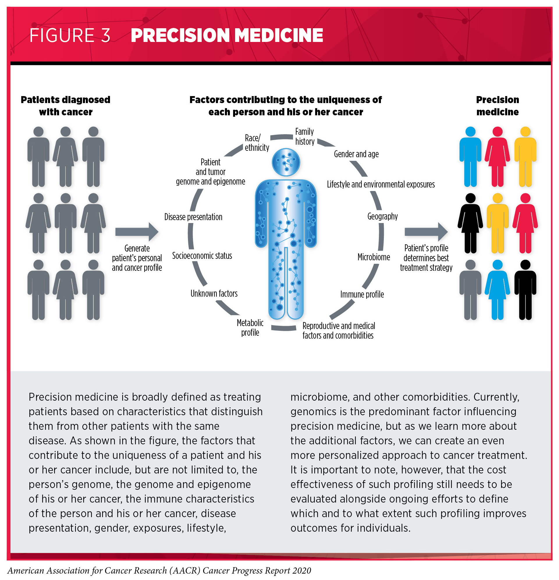 Understanding How Cancer Develops