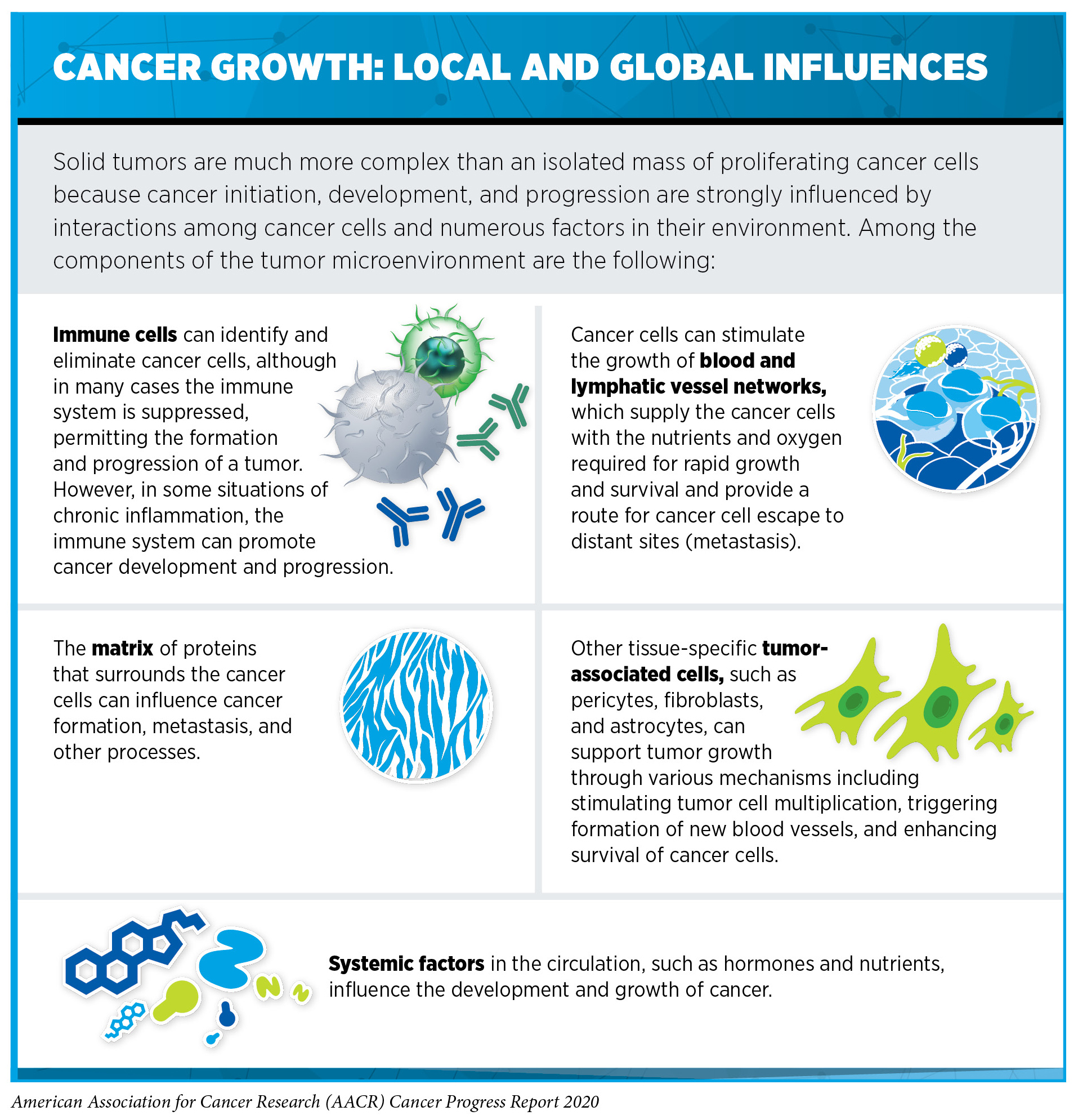 Understanding How Cancer Develops