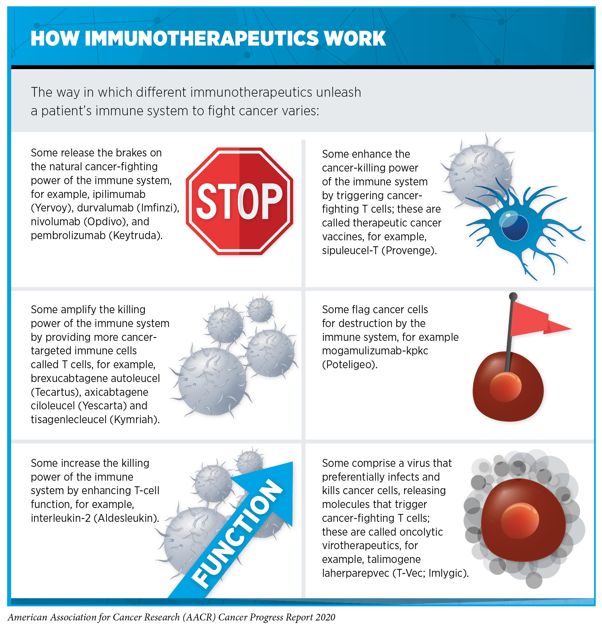 Advances in Cancer Treatment Can Mean Longer and Better Lives for Patients.