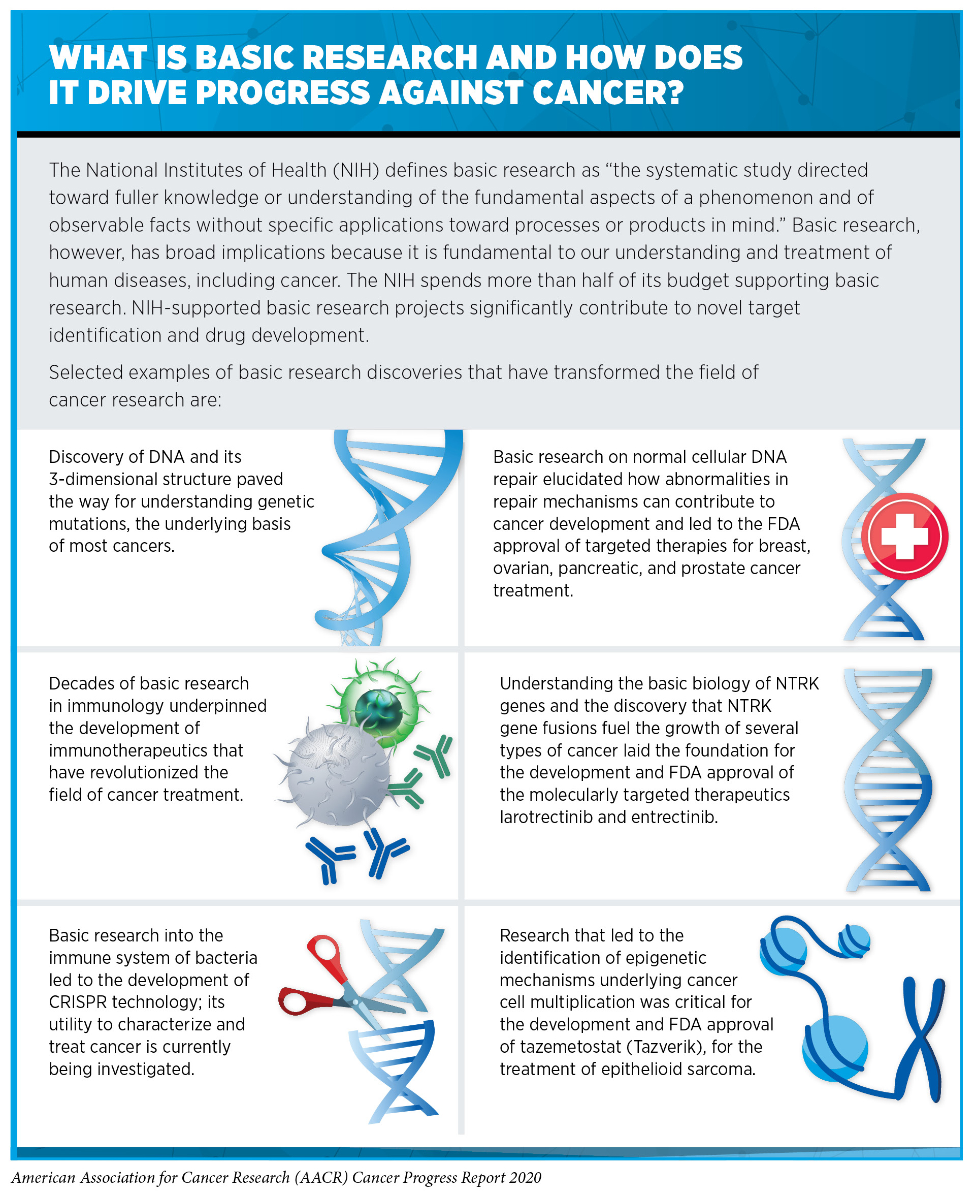 Understanding How Cancer Develops