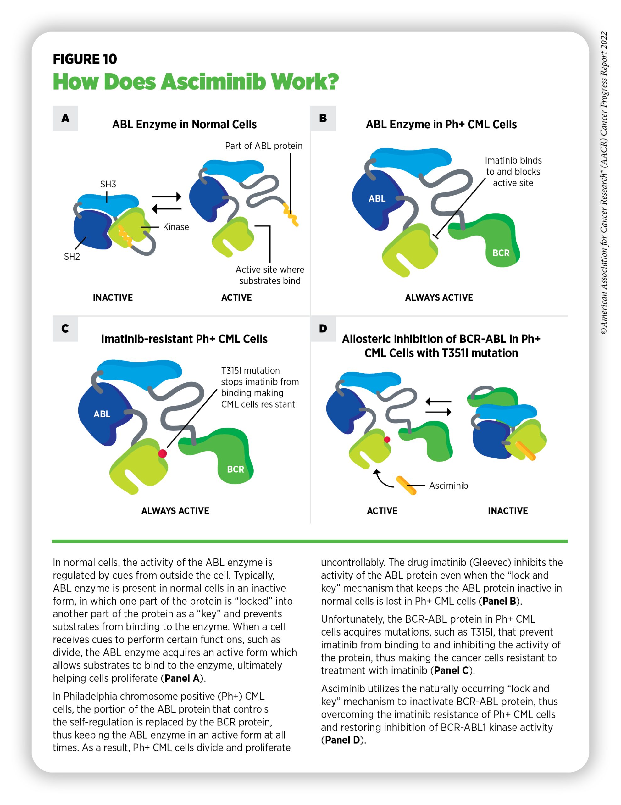 New Dimensions in Cancer Biology: Updated Hallmarks of Cancer Published -  American Association for Cancer Research (AACR)