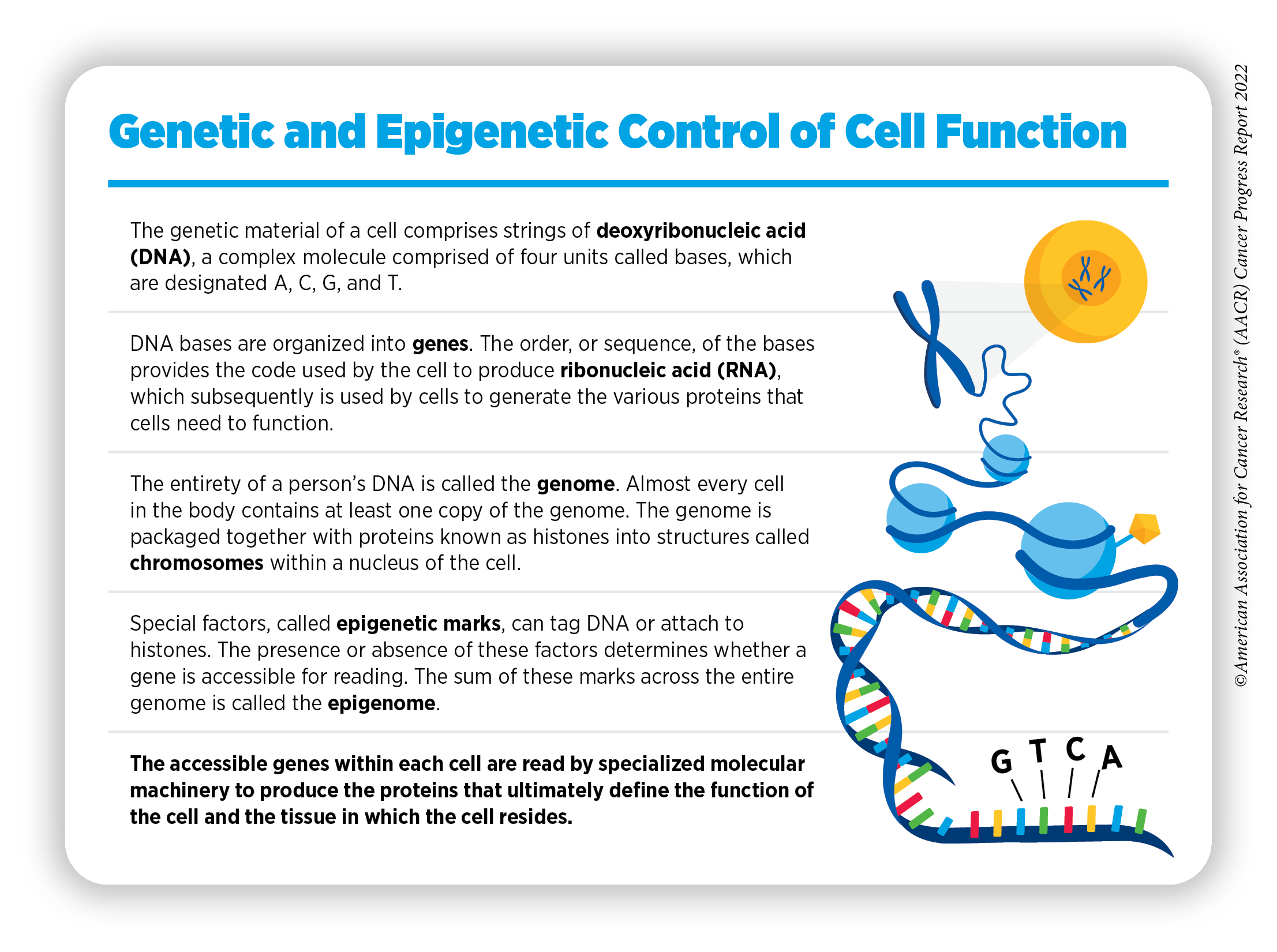 New Dimensions in Cancer Biology: Updated Hallmarks of Cancer Published -  American Association for Cancer Research (AACR)