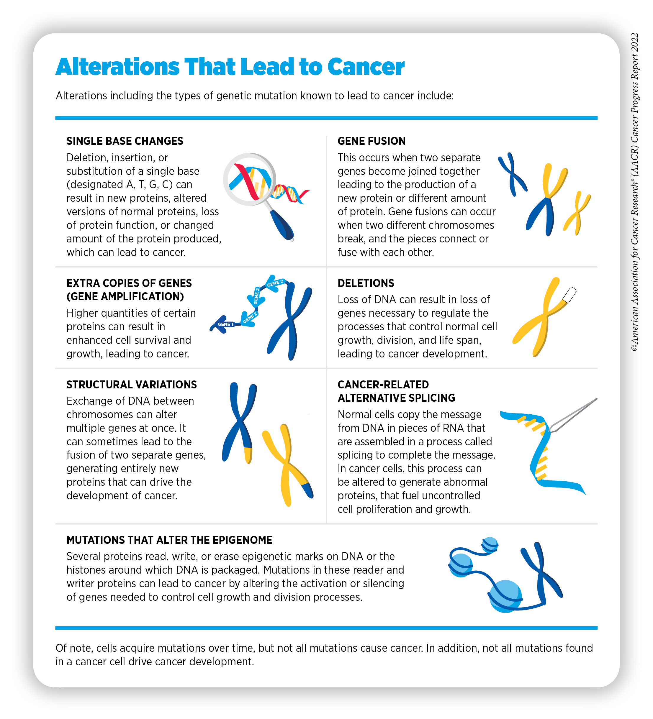 Understanding How Cancer Develops