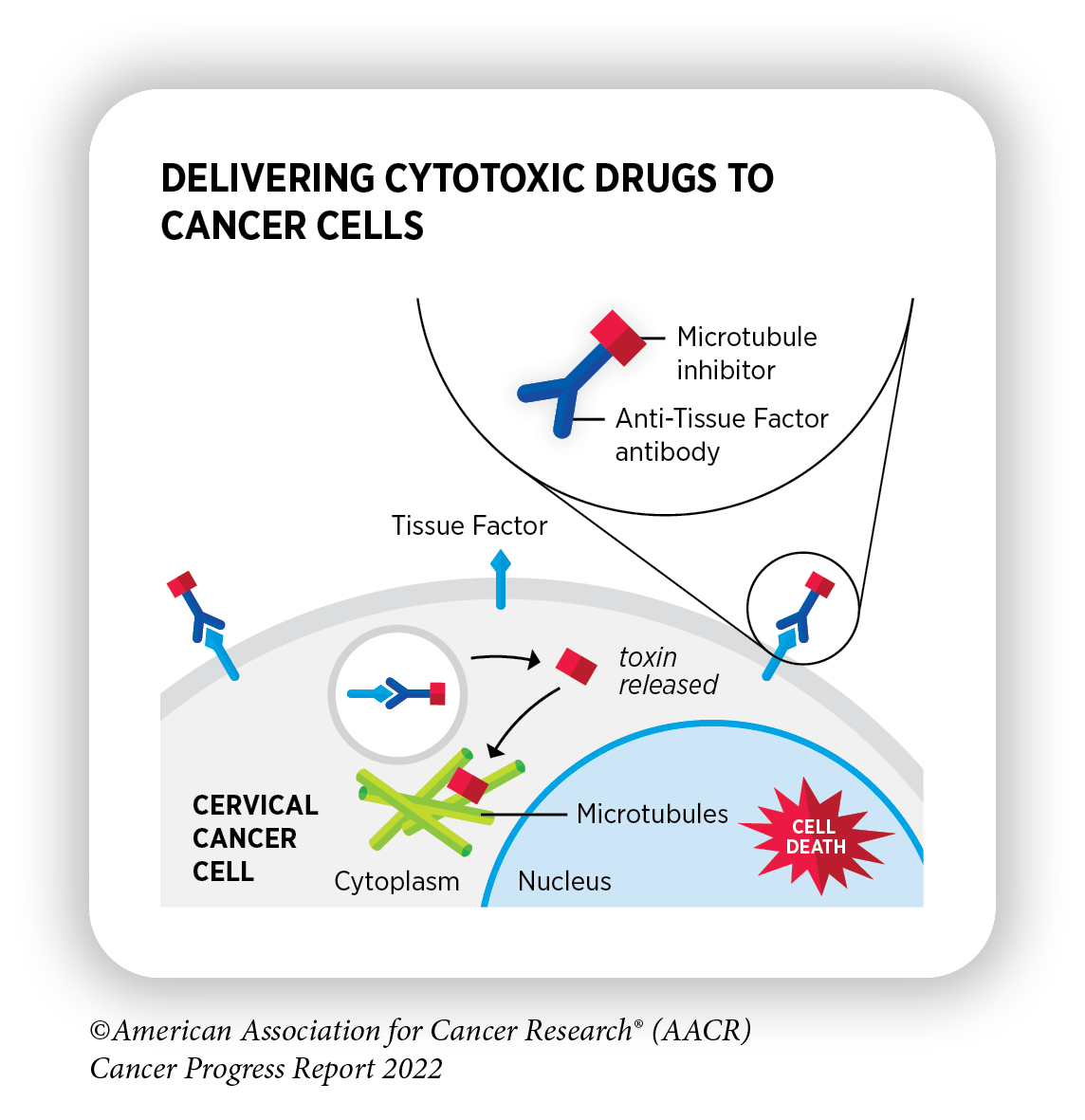 Decoding Cancer, Transforming Outcomes