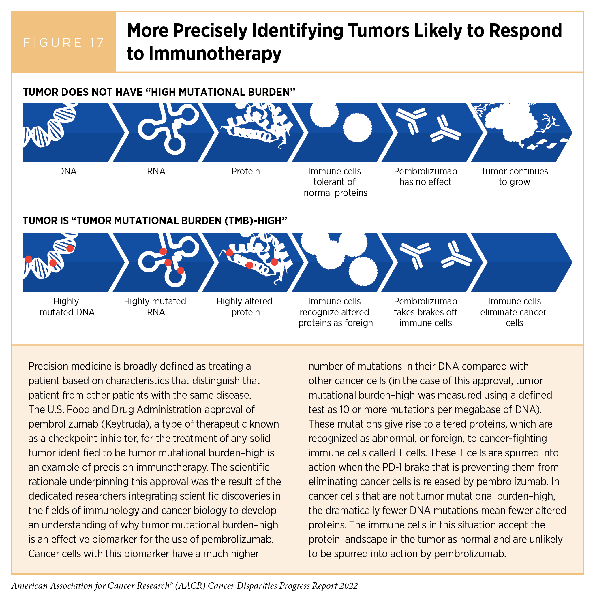 Frontiers  Patients' knowledge about their involvement in clinical trials.  A non-randomized controlled trial