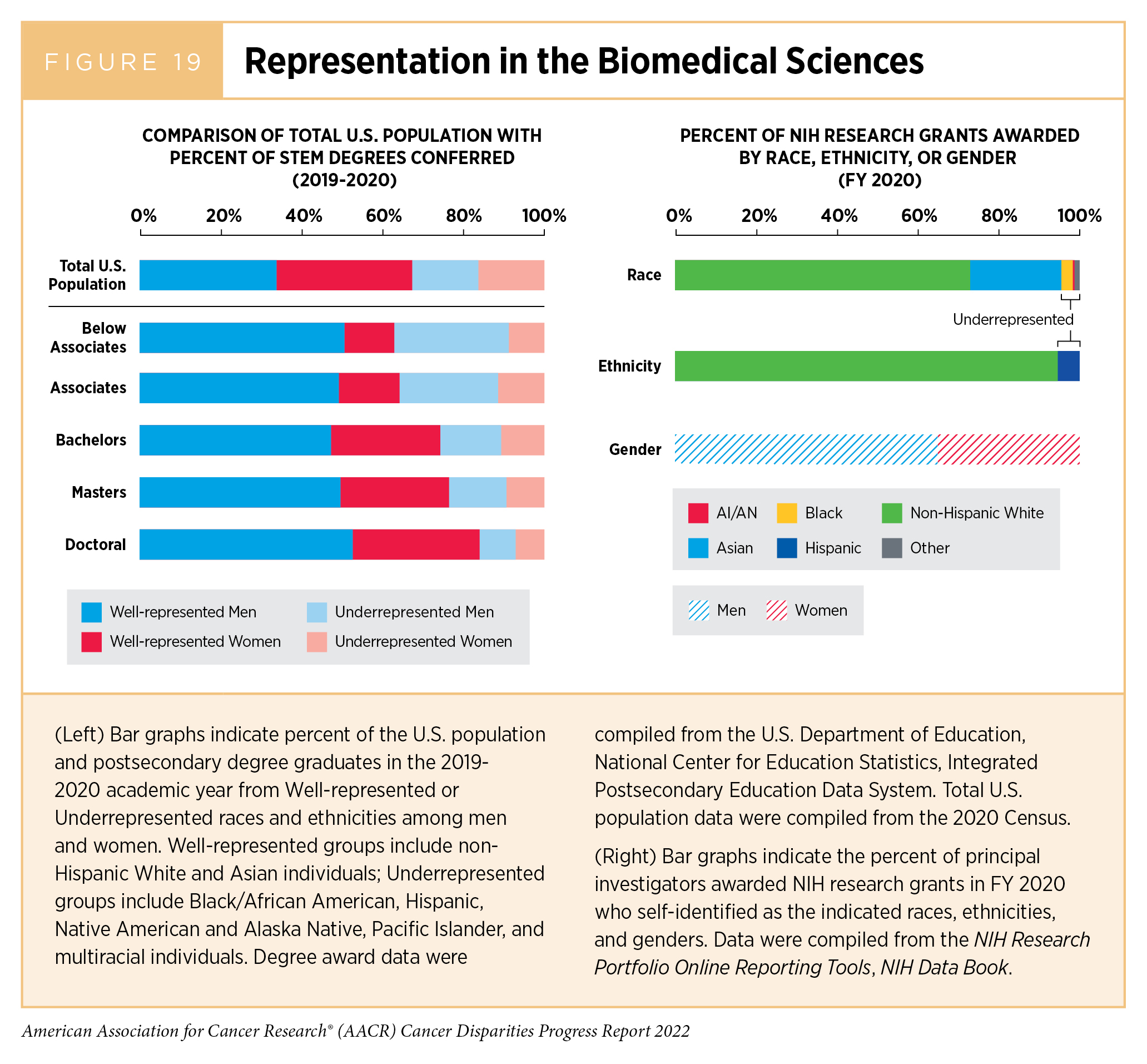 Disparities in Clinical Research and Cancer Treatment