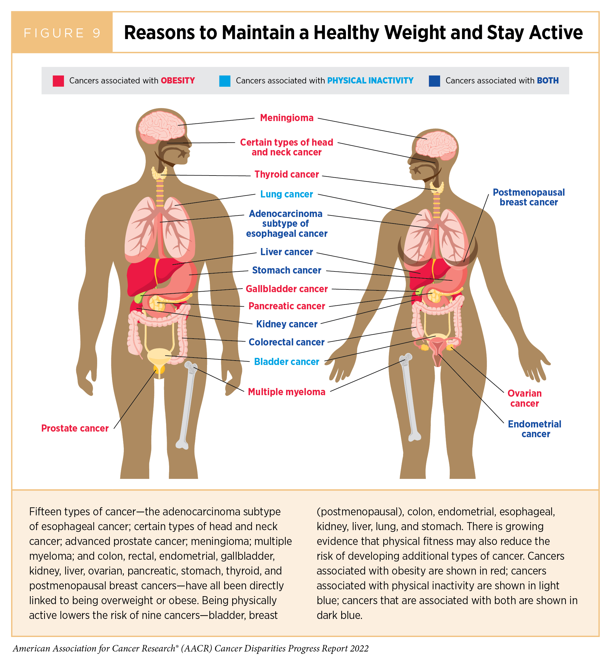 The Health Risks of Obesity: Worse Than Smoking, Drinking or Poverty