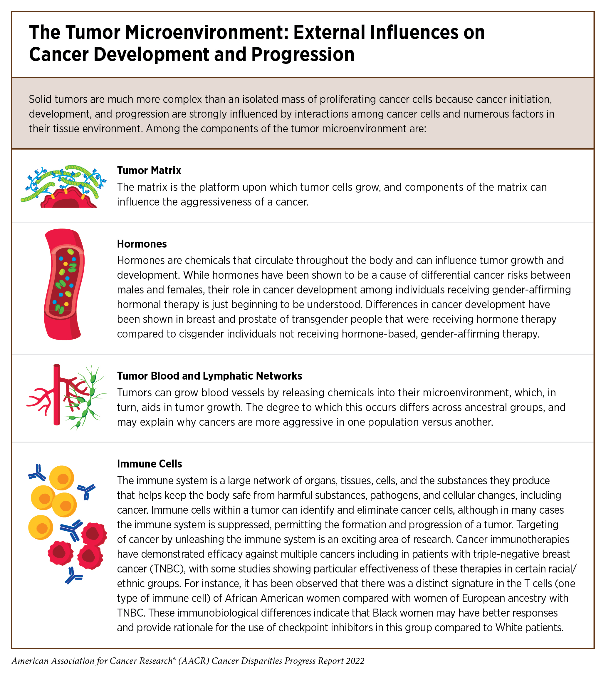 New Dimensions in Cancer Biology: Updated Hallmarks of Cancer Published -  American Association for Cancer Research (AACR)