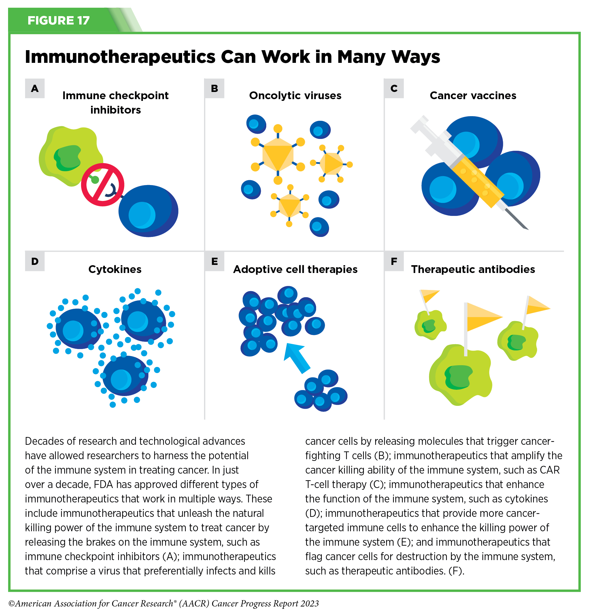 Immunotherapy: Pushing the Frontier of Cancer Medicine