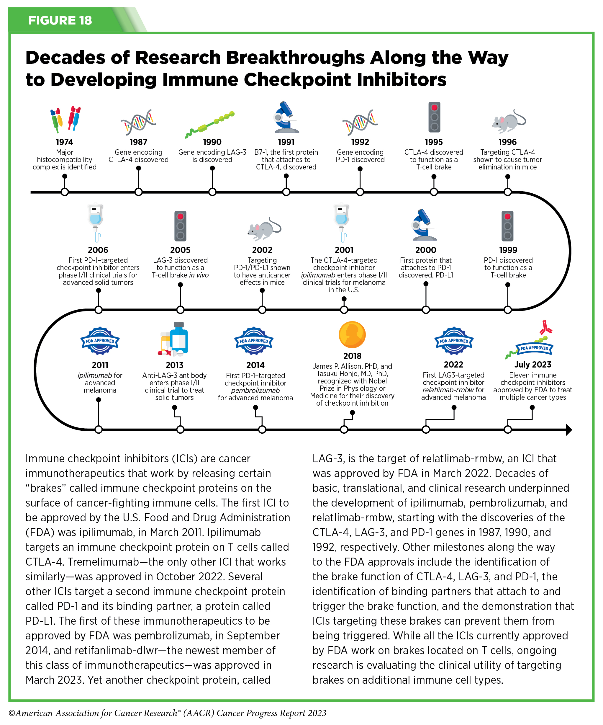 Immunotherapy: Pushing the Frontier of Cancer Medicine