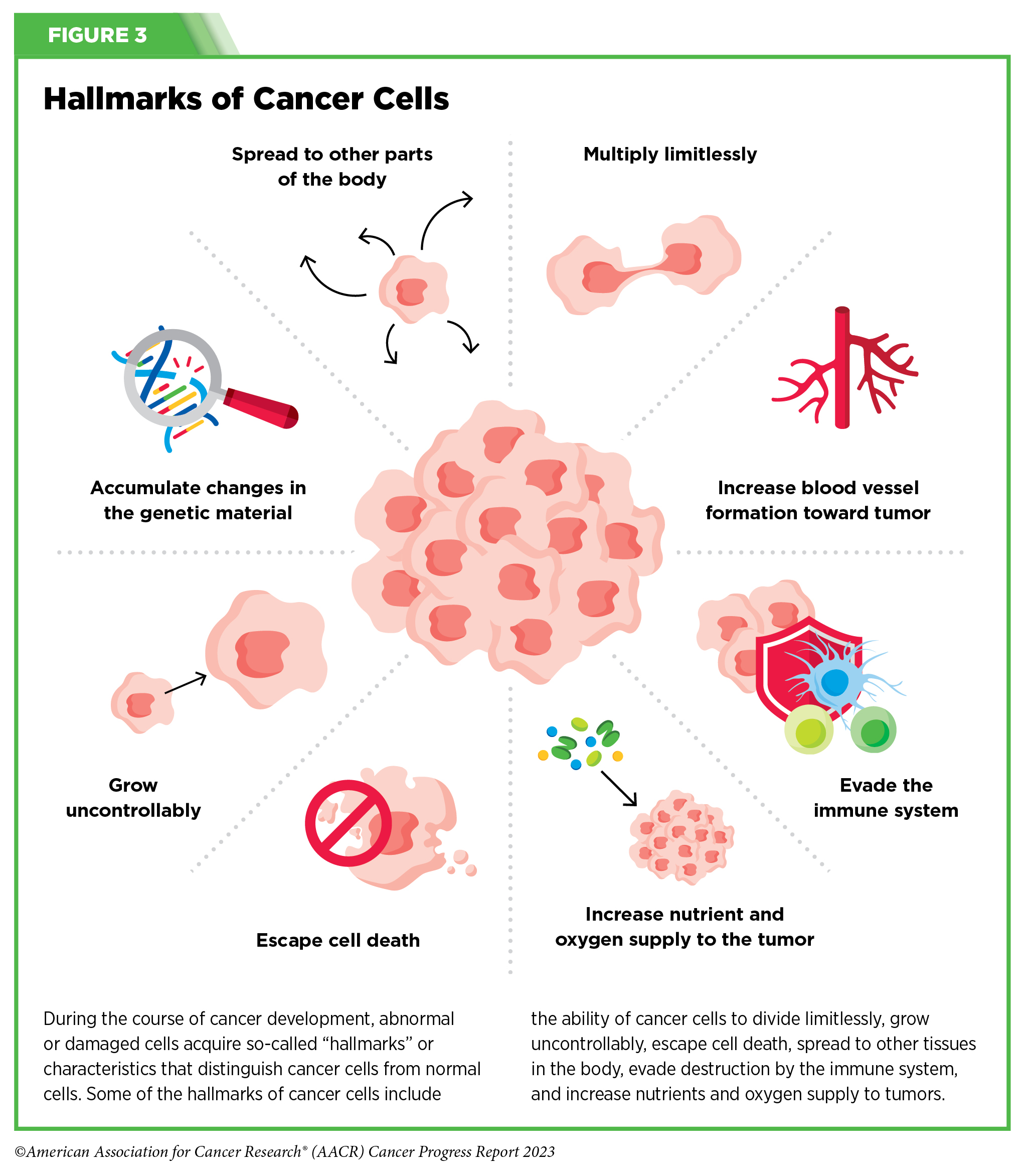 How cancer evades immune system detection and spreads