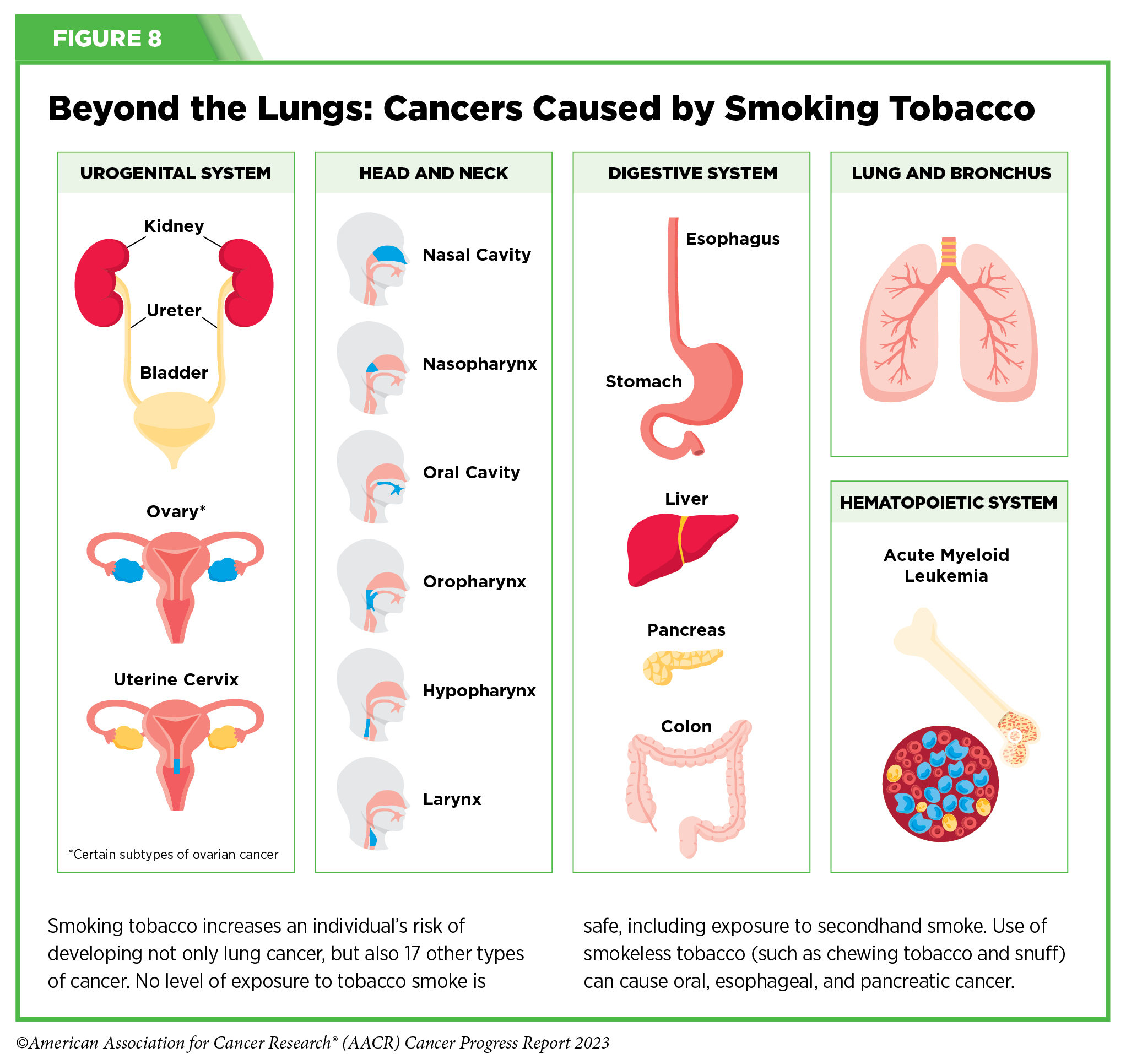 Reducing Cancer Risk  AACR Cancer Progress Report 2023