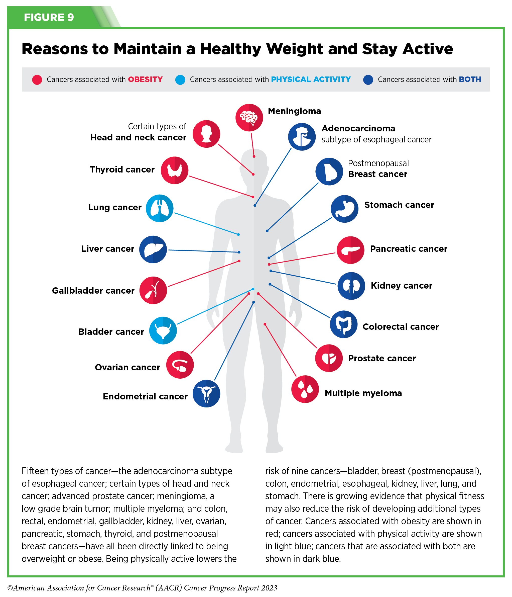 Reducing Cancer Risk  AACR Cancer Progress Report 2023