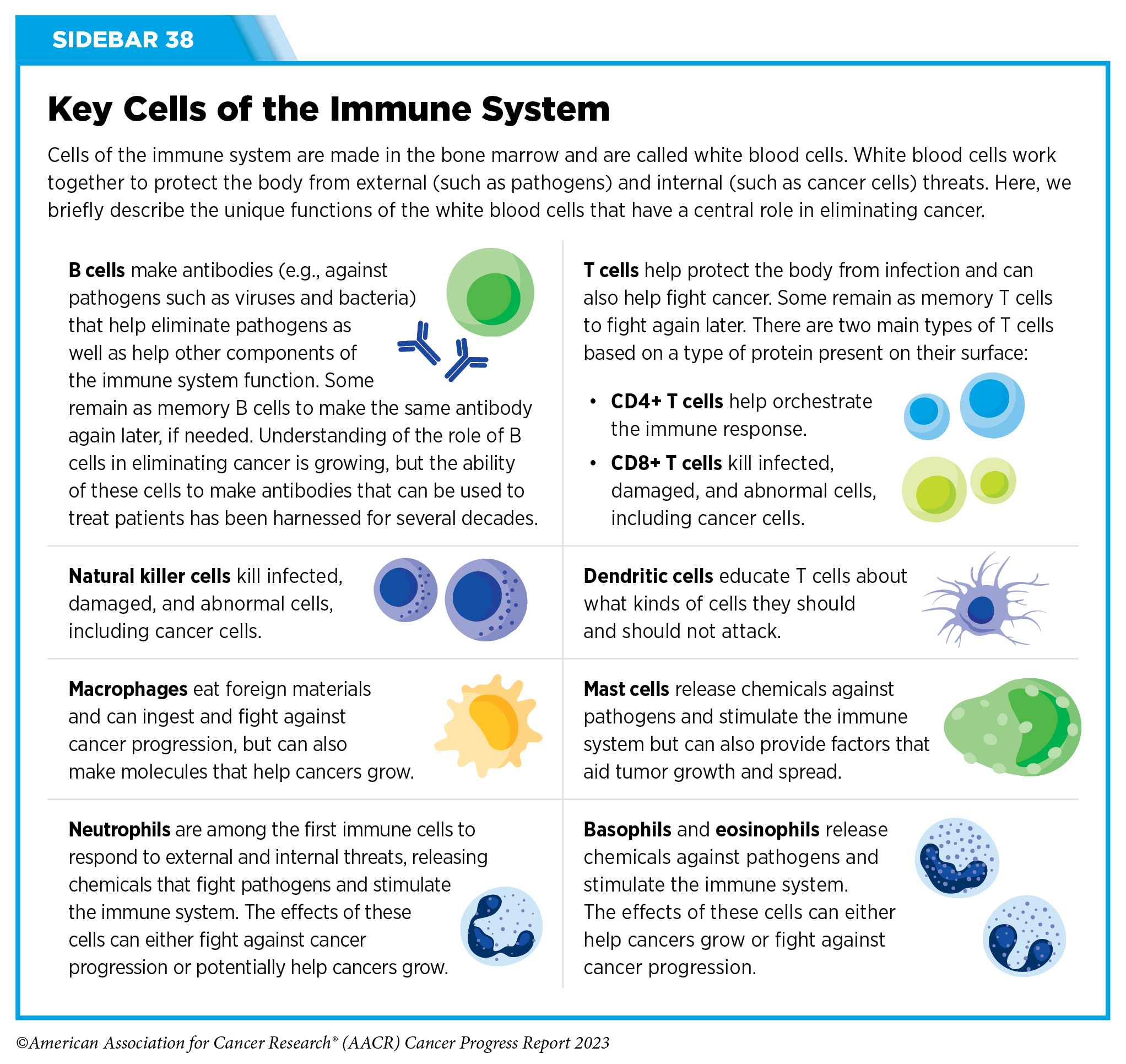 How cancer evades immune system detection and spreads