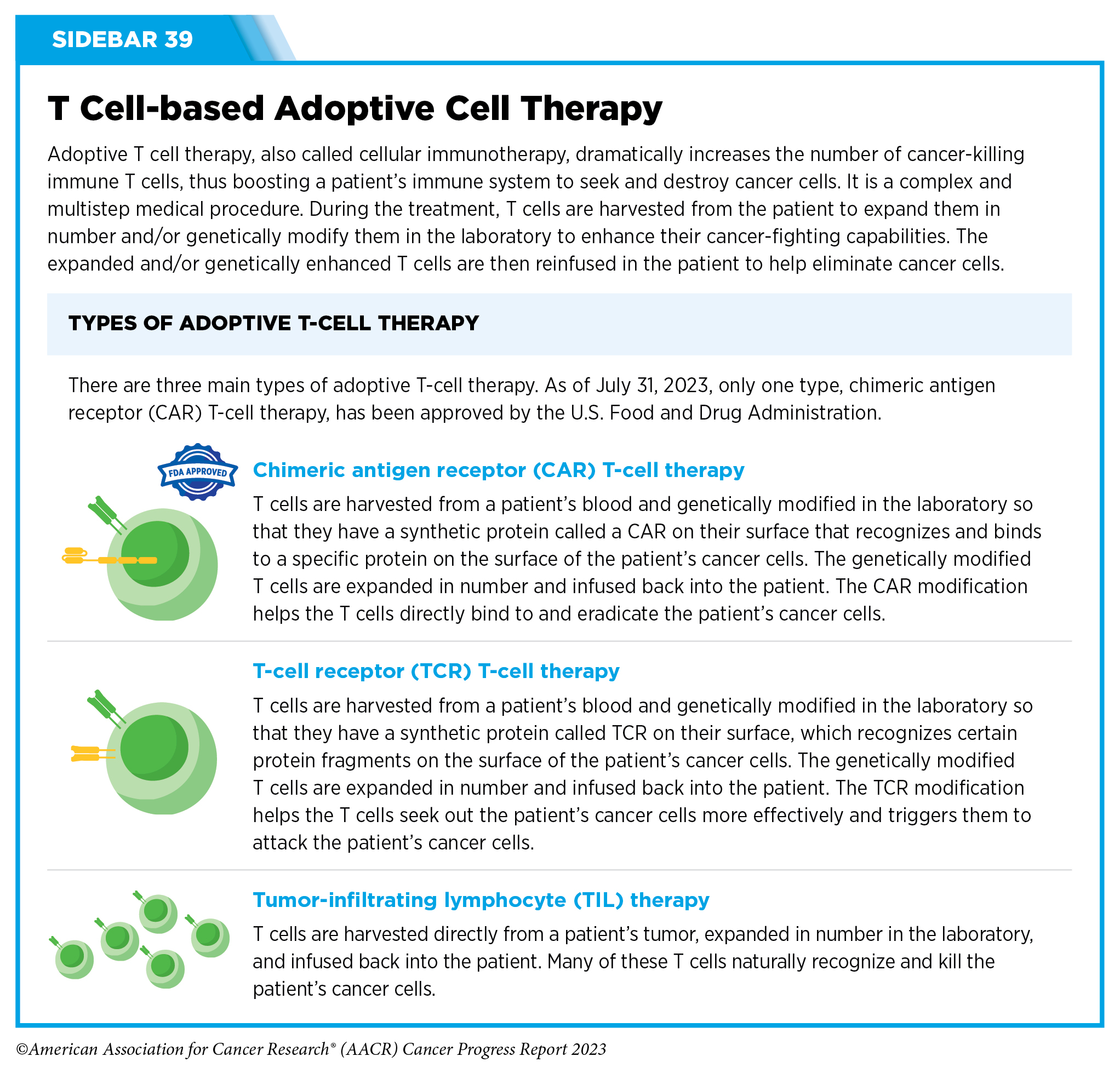 Immunotherapy: Pushing the Frontier of Cancer Medicine