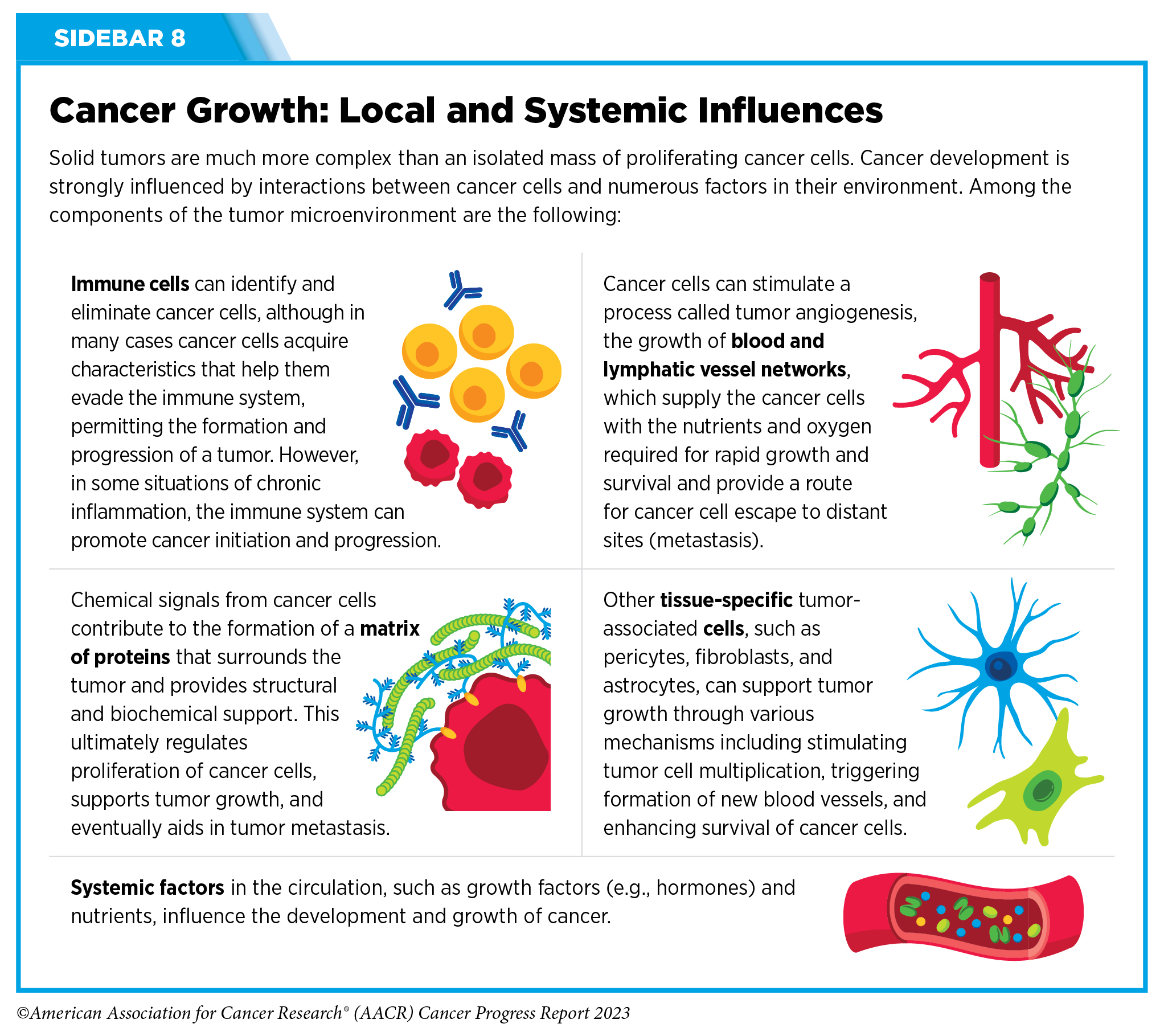 Can Artificial Intelligence Help See Cancer in New Ways? - NCI