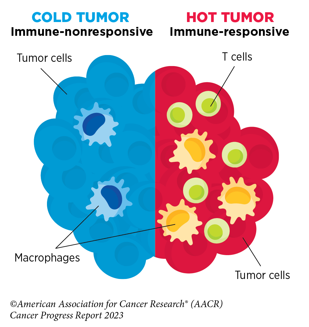 Immunotherapy: Pushing the Frontier of Cancer Medicine