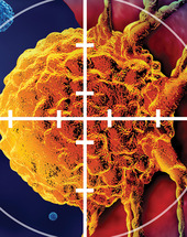 CPR23 – Perspective: Looking to the Future of Immunology
