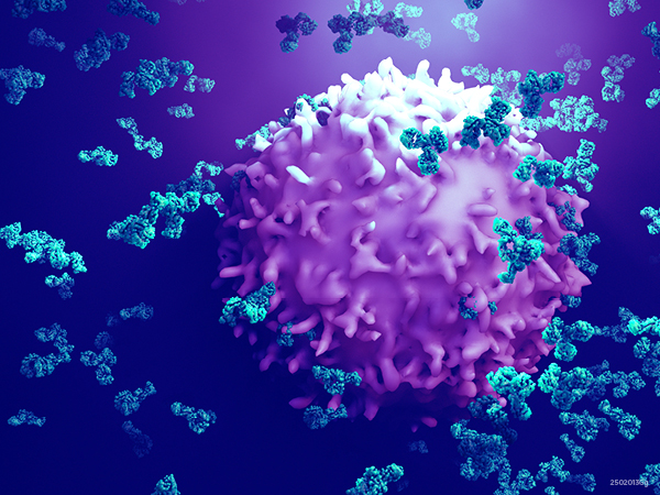 Advances in Immunotherapy