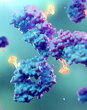 Unifying Cancer Science and Medicine: A Continuum of Innovation for Impact – CPR25