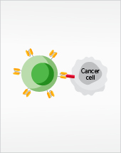 Progress in Pediatric Cancer Treatment – PCPR25