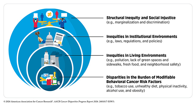 Disparities in modifiable risk factors, inequities in institutional and living environments, and structural inequity contribute to cancer health disparities.