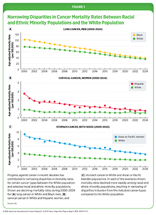 Figure 1: Narrowing Disparities in Cancer Mortality Rates Between Racial and Ethnic Minority Populations and the White Population.