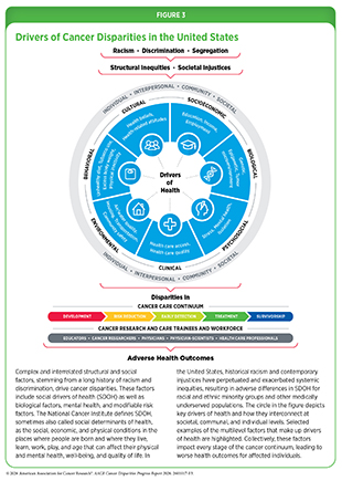 Figure 3: Complex and interrelated structural and social factors, stemming from a long history of racism and discrimination, drive cancer disparities.