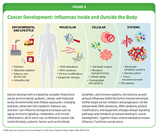 Figure 6: Cancer development is shaped by complex interactions across environmental, systemic, cellular, and molecular levels.