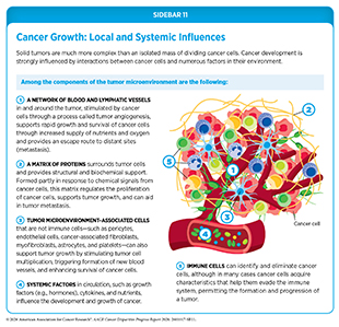 Sidebar 11: Cancer development is strongly influenced by interactions between cancer cells and numerous factors in their environment.