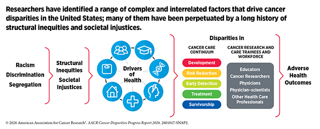 Researchers have identified a range of complex and interrelated factors that drive cancer disparities in the US; many have been perpetuated by structural inequities and societal injustices.