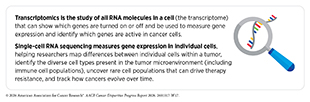 Transcriptomics is the study of all RNA molecules in a cell. It can be used to identify which genes are active in cancer cells.