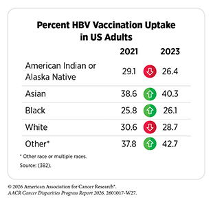 Table: Percent HBV Vaccination Uptake in US Adults. The rate of uptake declined slightly between 2021 and 2023 for white and AIAN populations.