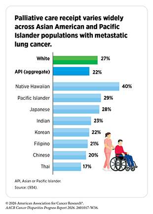 Palliative care receipt varies widely across Asian American and Pacific Islander populations with metastatic lung cancer.