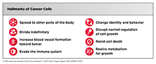 Hallmarks of Cancer Cells.