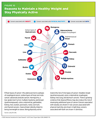 Figure 10: Being physically active lowers the risk of nine types of cancer.