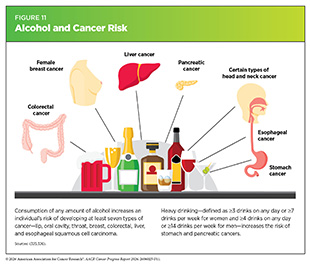 Figure 11: Consumption of any amount of alcohol increases the risk of developing at least seven types of cancer.