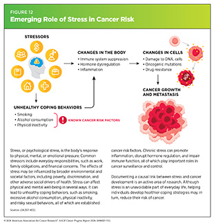 Figure 12: Emerging Role of Stress in Cancer Risk.