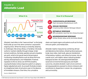 Figure 13: Allostatic load refers to the “wear and tear” on the body that builds up over time when someone is exposed to ongoing stress.