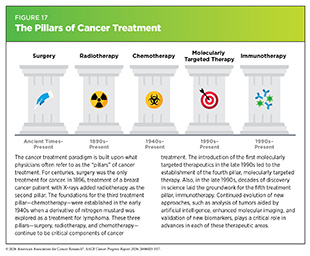 Figure 17: The five pillars of cancer treatment are surgery, radiotherapy, chemotherapy, molecularly targeted therapy, and immunotherapy.