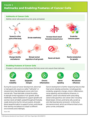 Figure 3: Hallmarks and Enabling Features of Cancer Cells.