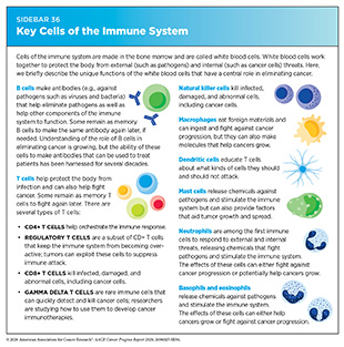 Sidebar 36: Key Cells of the Immune System.