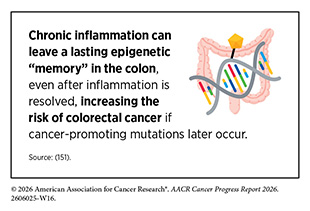Chronic inflammation can leave a lasting epigenetic “memory” in the colon, even after inflammation is resolved, increasing the risk of colorectal cancer.